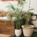 How the Best Air Purifying House Plants Work with Your HVAC Installation