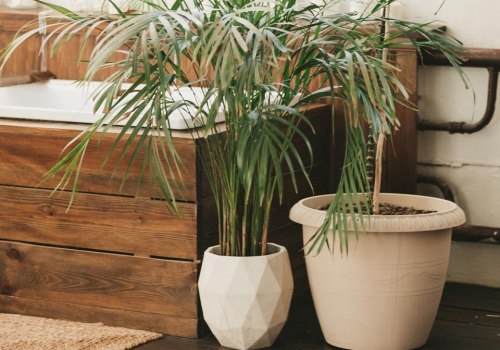 How the Best Air Purifying House Plants Work with Your HVAC Installation